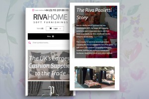 Riva gallery image by marvellous web design agency leeds